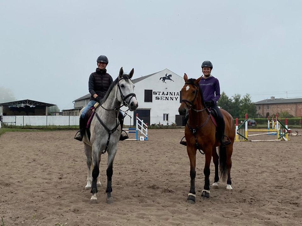Noclegi Przy Stajni Senny - Horse Riding Łeba Dış mekan fotoğraf